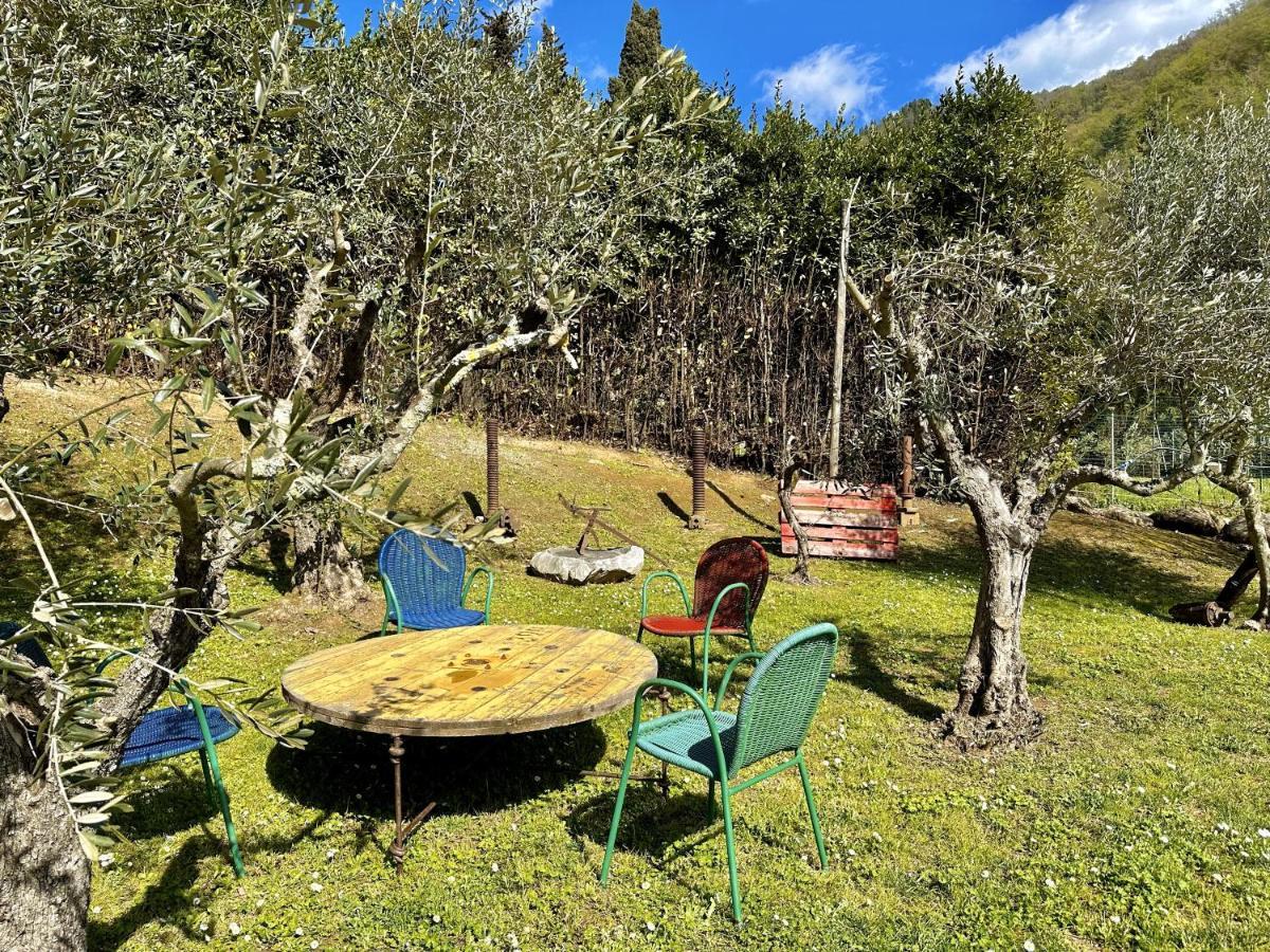 La Sosta In Toscana Camaiore Eksteriør bilde